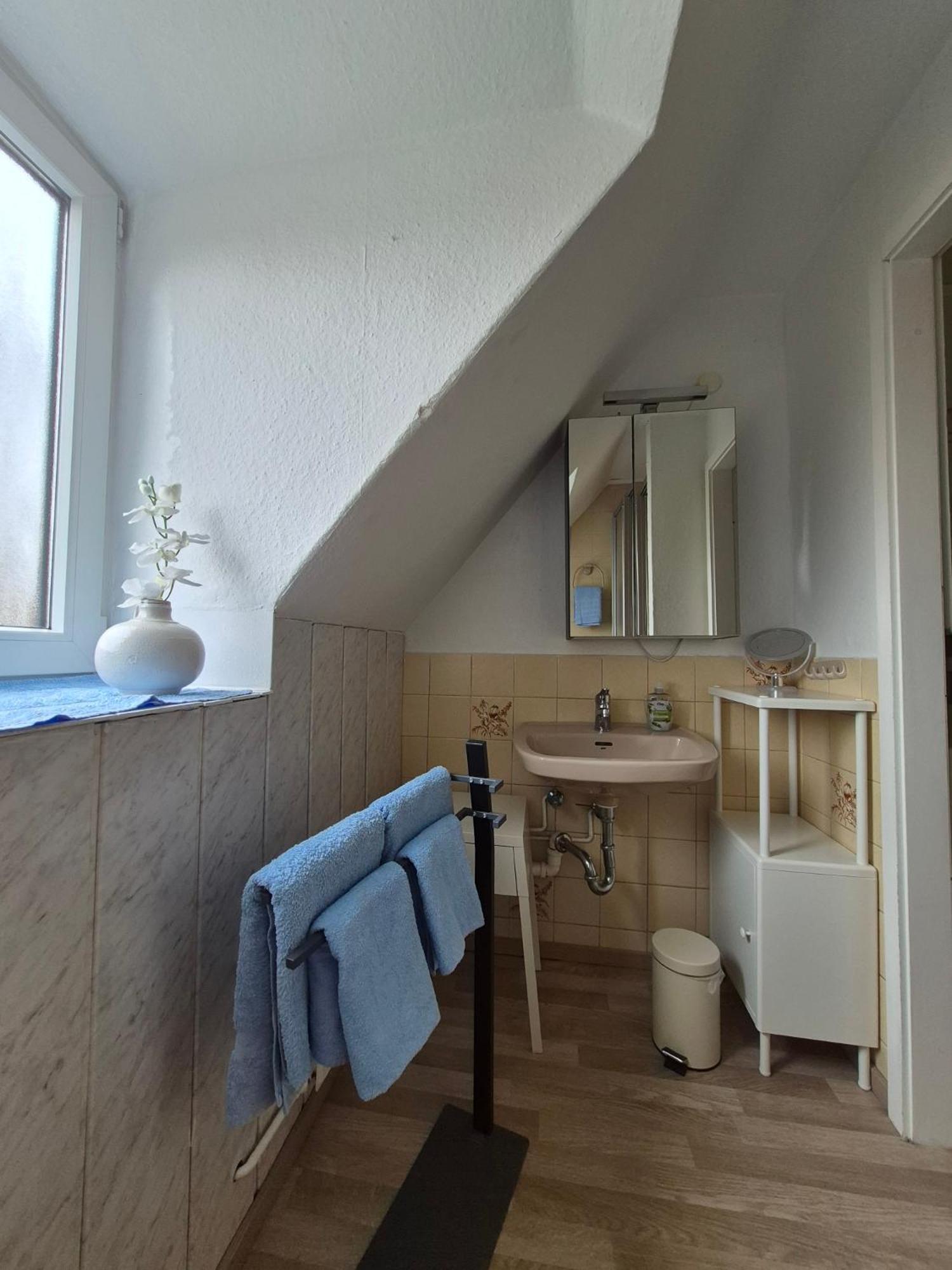 Loft 7